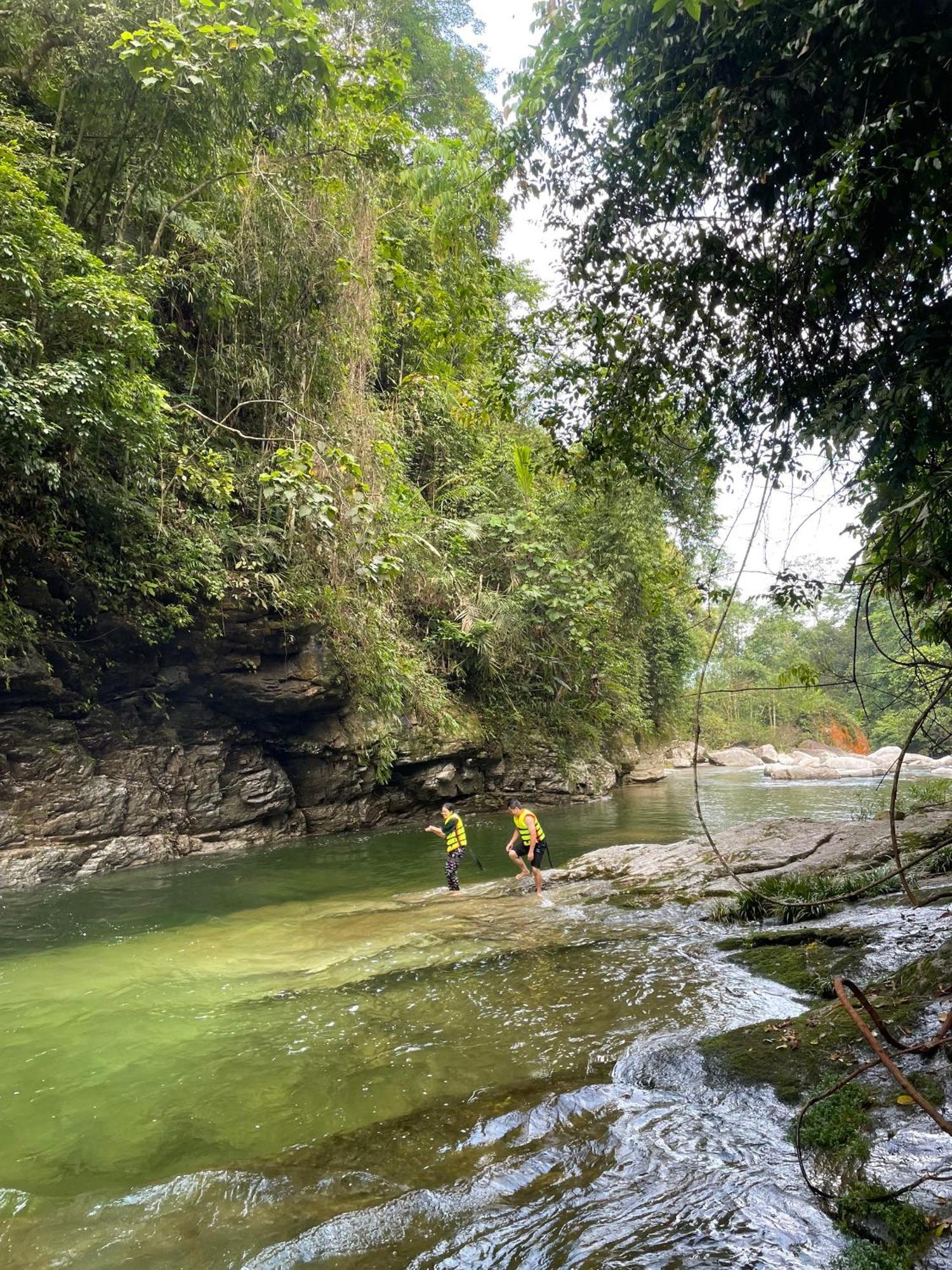 Bikki'S Jungle Homestay Ha Giang Eksteriør bilde