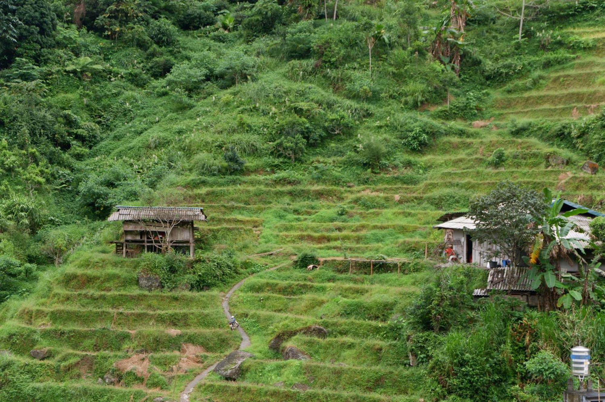 Bikki'S Jungle Homestay Ha Giang Eksteriør bilde
