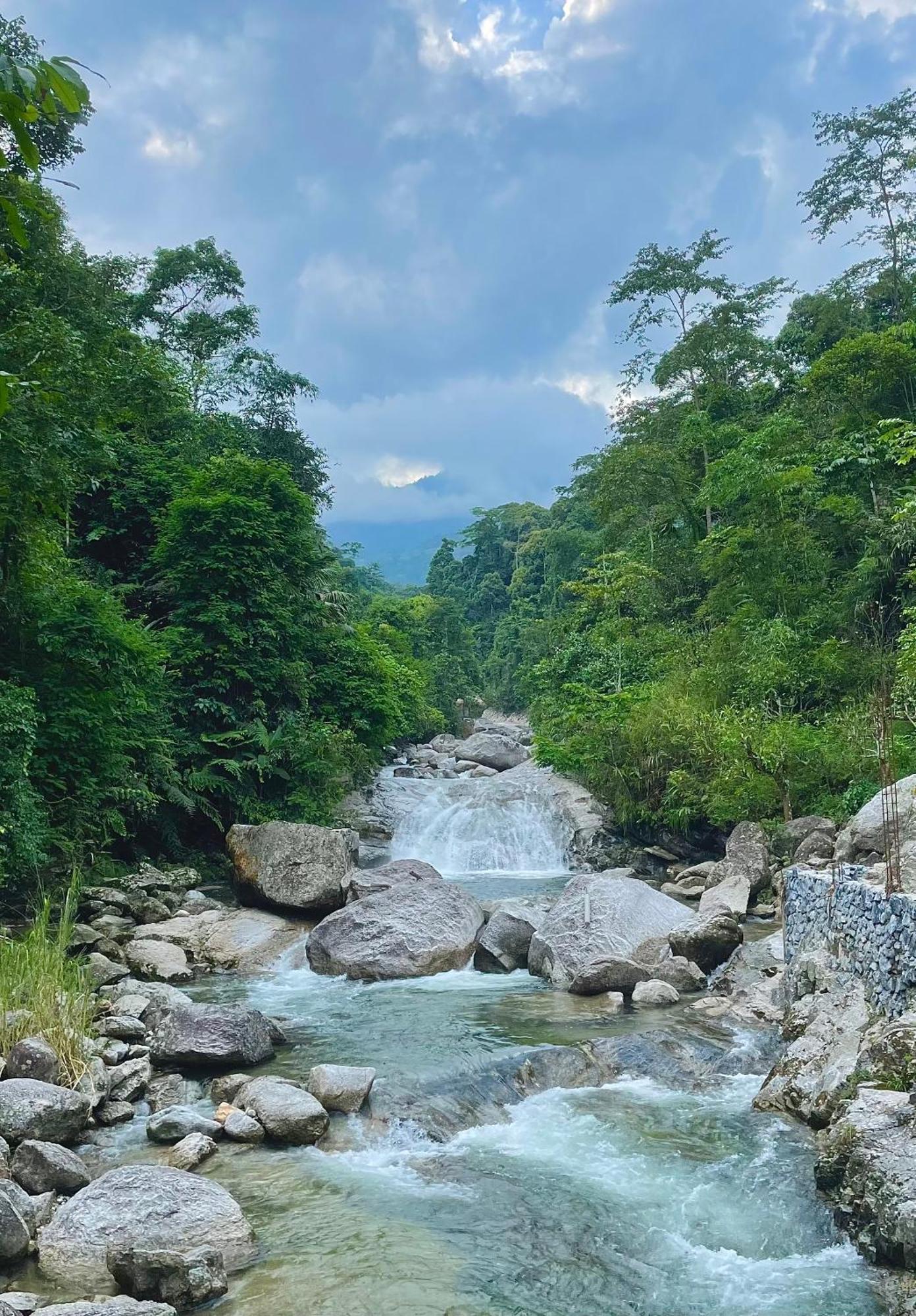 Bikki'S Jungle Homestay Ha Giang Eksteriør bilde