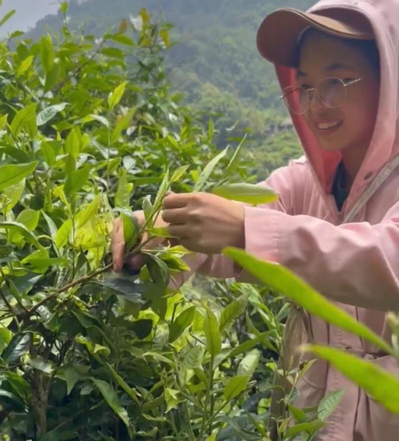 Bikki'S Jungle Homestay Ha Giang Eksteriør bilde