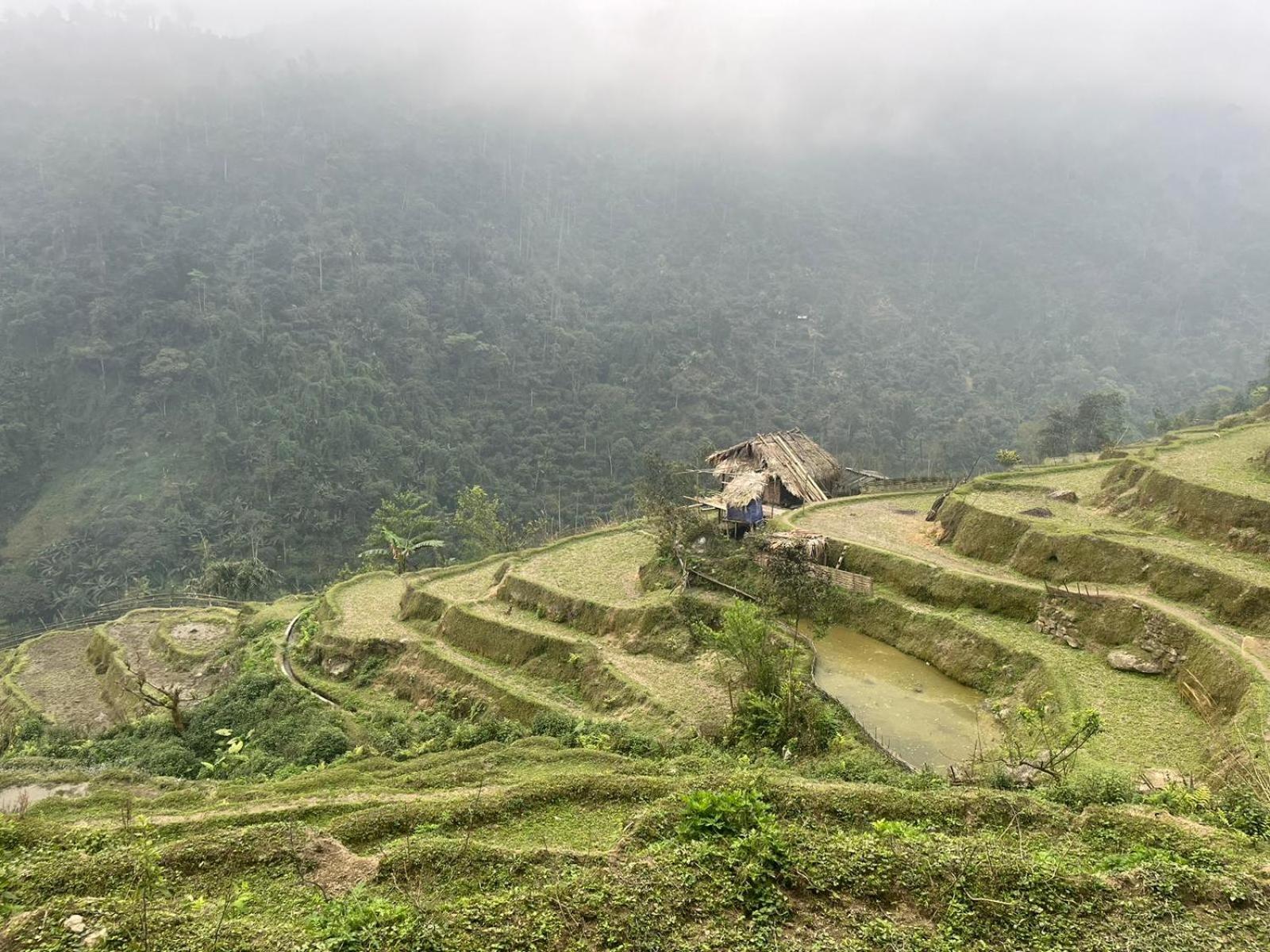 Bikki'S Jungle Homestay Ha Giang Eksteriør bilde