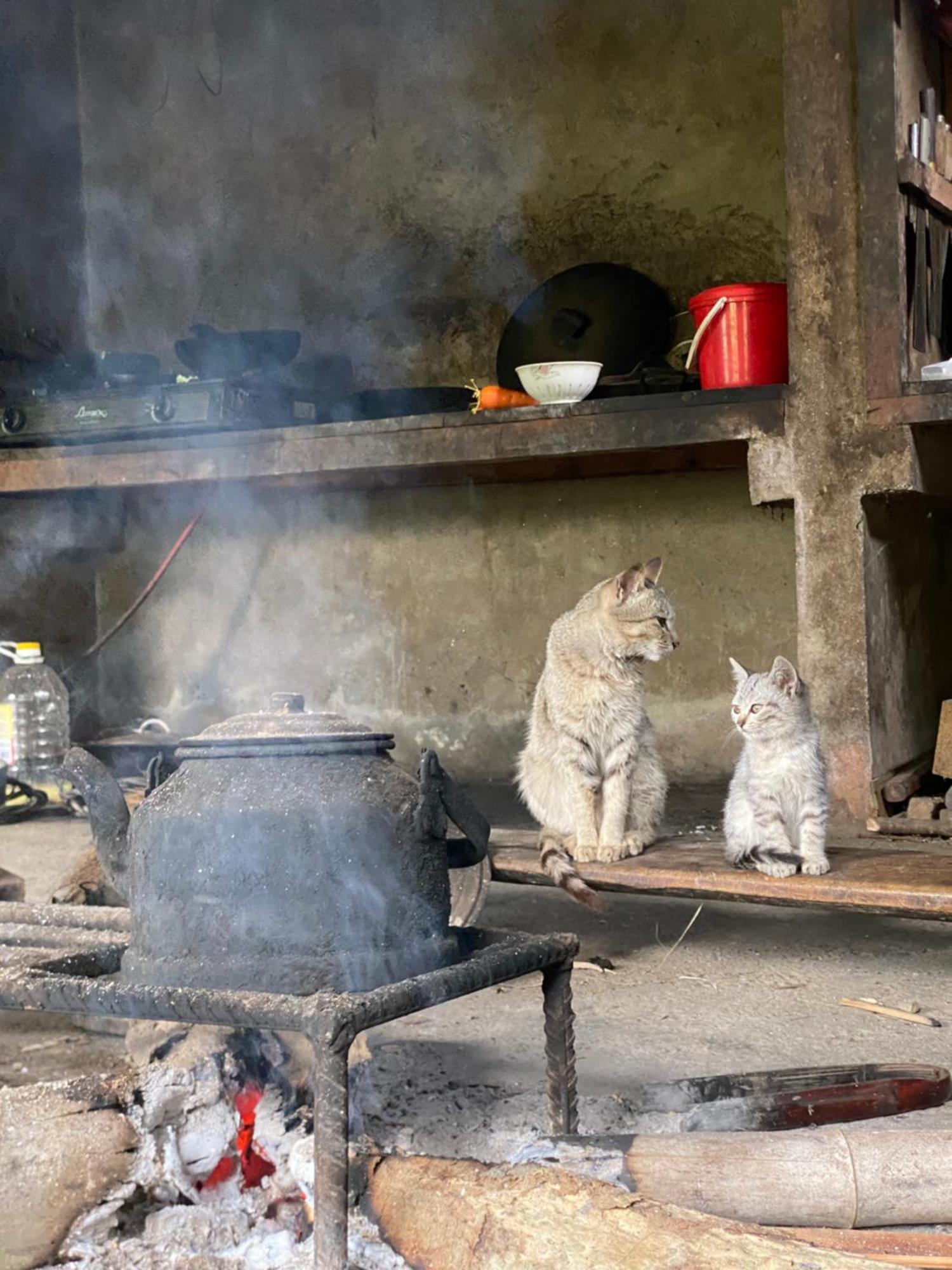 Bikki'S Jungle Homestay Ha Giang Eksteriør bilde