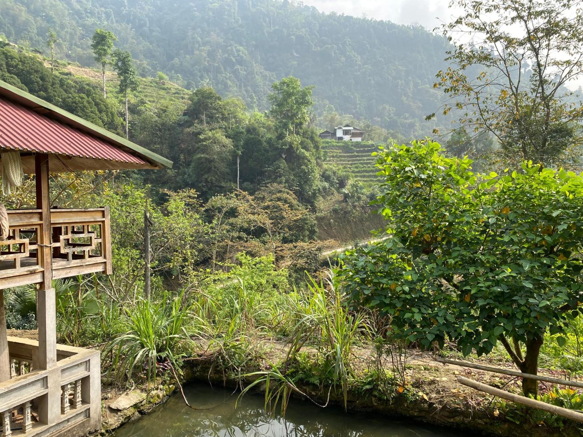 Bikki'S Jungle Homestay Ha Giang Eksteriør bilde