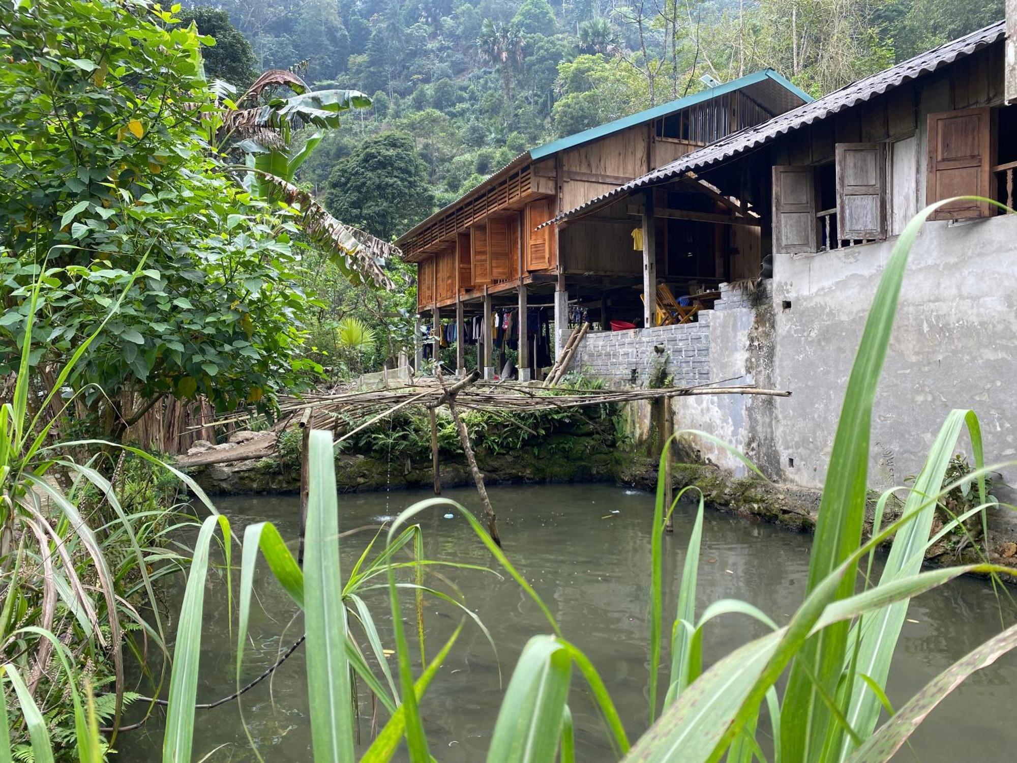 Bikki'S Jungle Homestay Ha Giang Eksteriør bilde