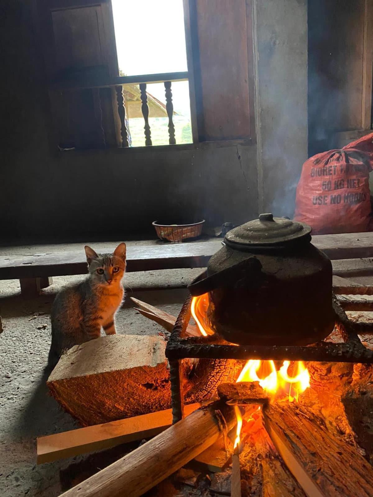 Bikki'S Jungle Homestay Ha Giang Eksteriør bilde