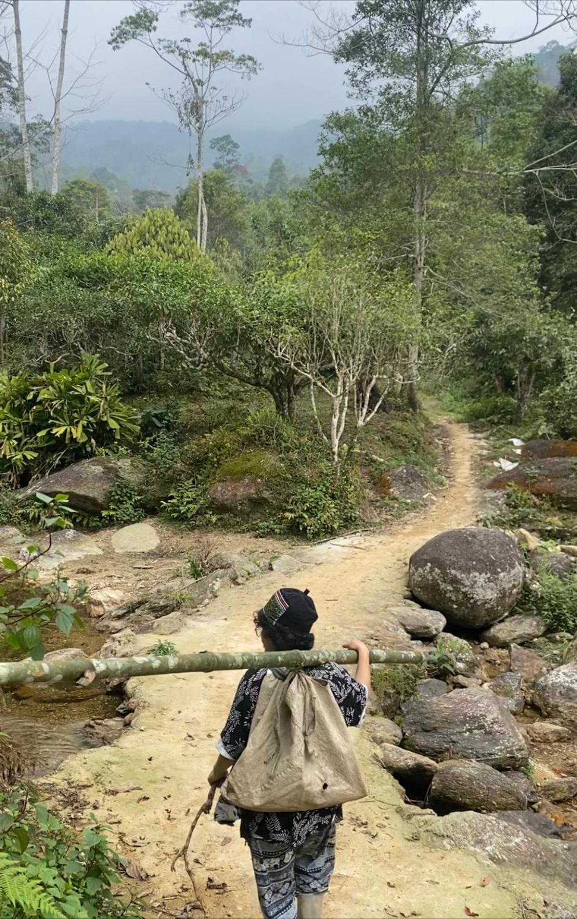 Bikki'S Jungle Homestay Ha Giang Eksteriør bilde