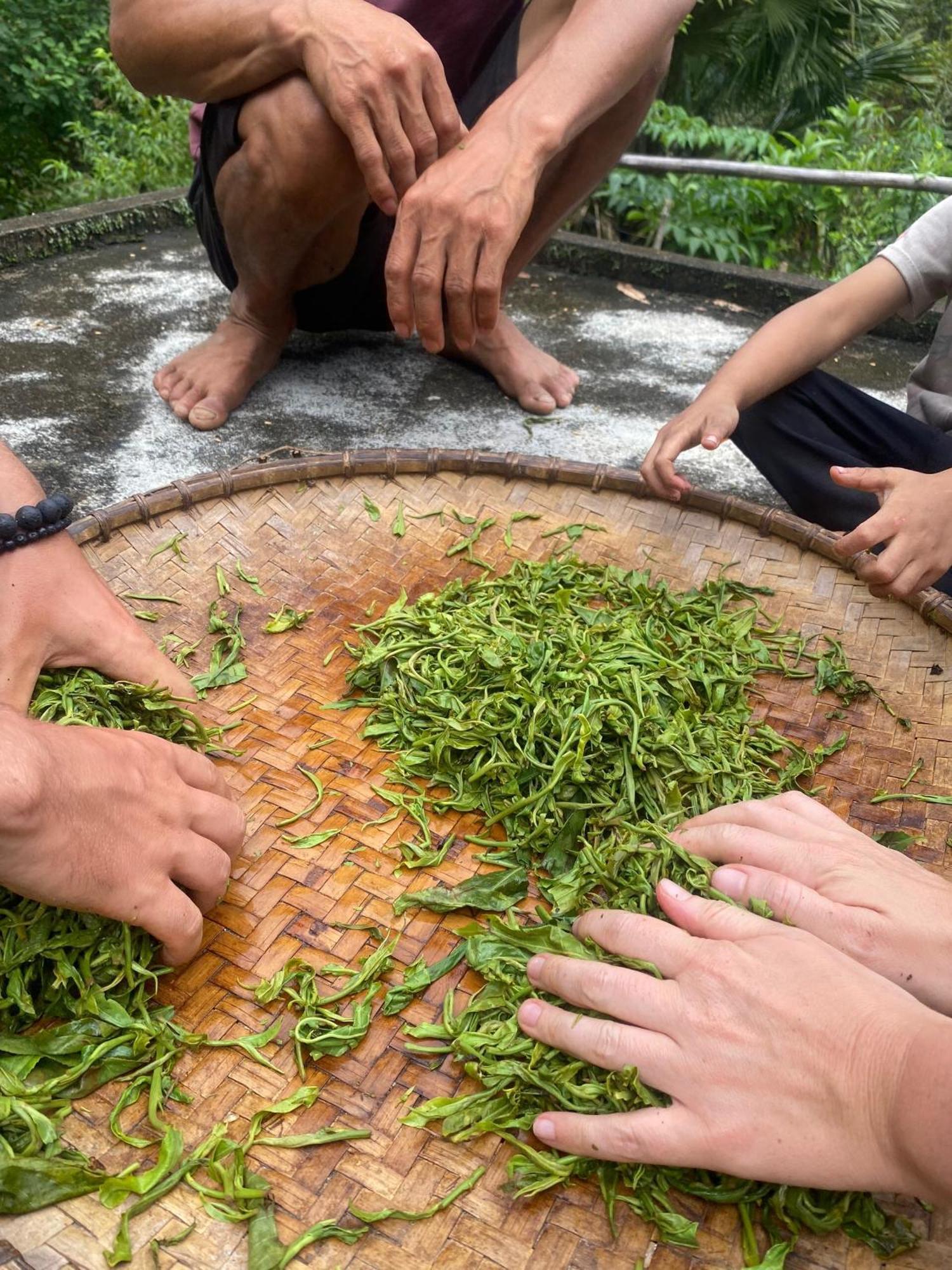 Bikki'S Jungle Homestay Ha Giang Eksteriør bilde
