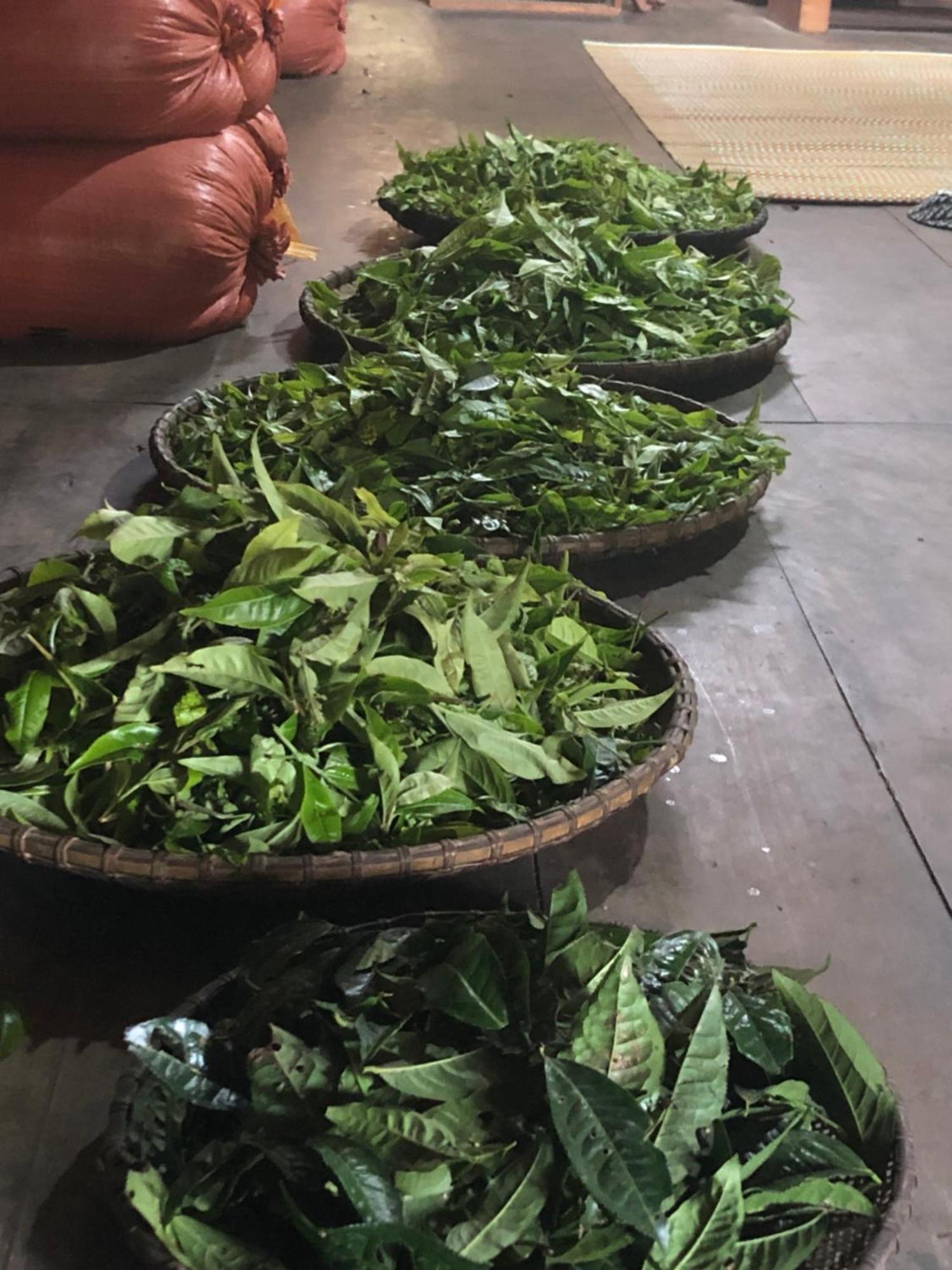 Bikki'S Jungle Homestay Ha Giang Eksteriør bilde